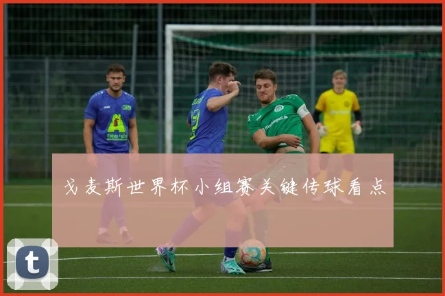 戈麦斯世界杯小组赛关键传球看点