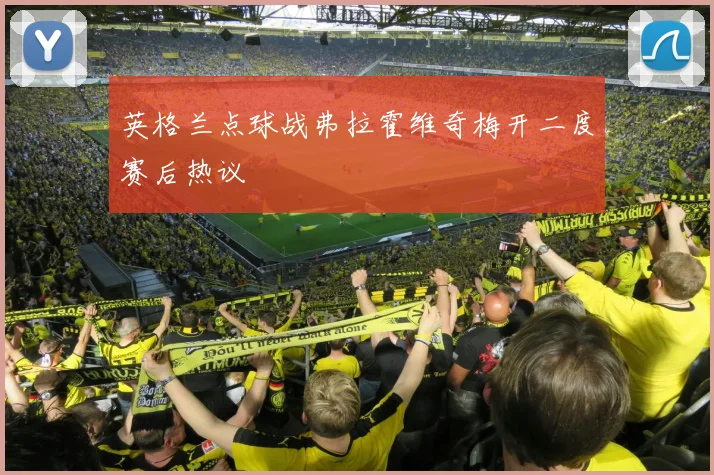 英格兰点球战弗拉霍维奇梅开二度赛后热议