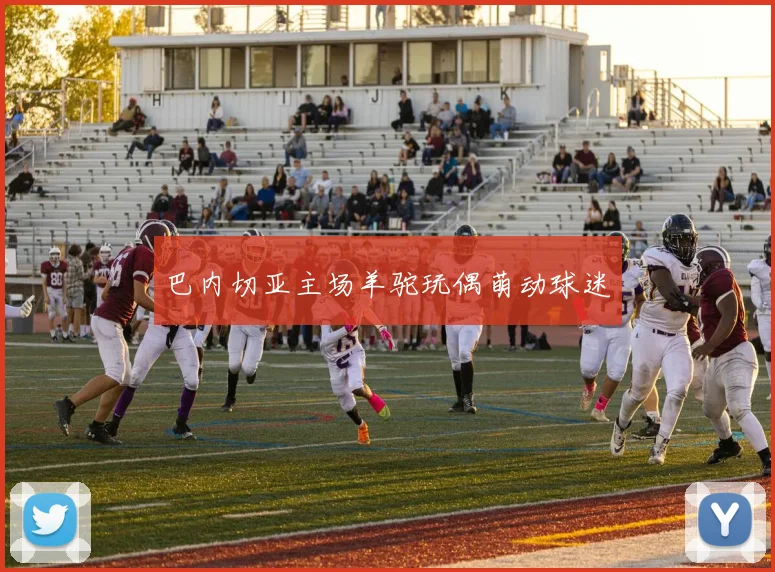 巴内切亚主场羊驼玩偶萌动球迷