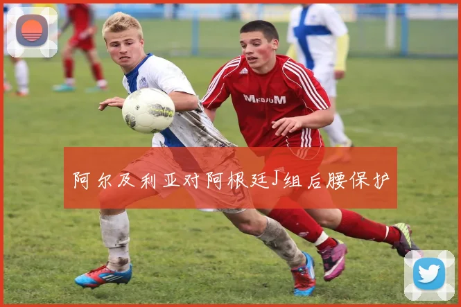 阿尔及利亚对阿根廷J组后腰保护