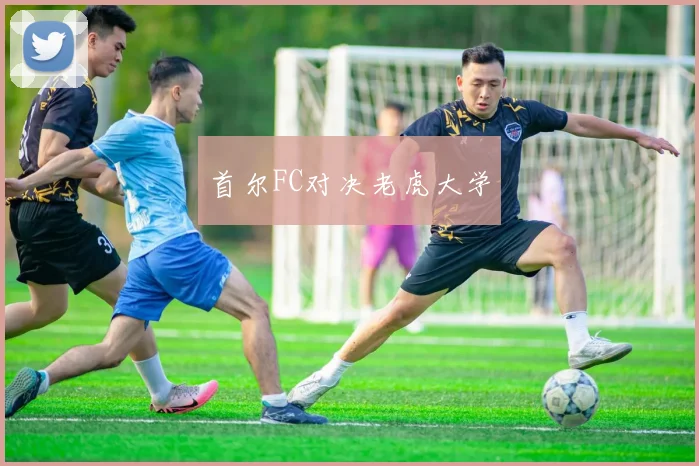 首尔FC对决老虎大学