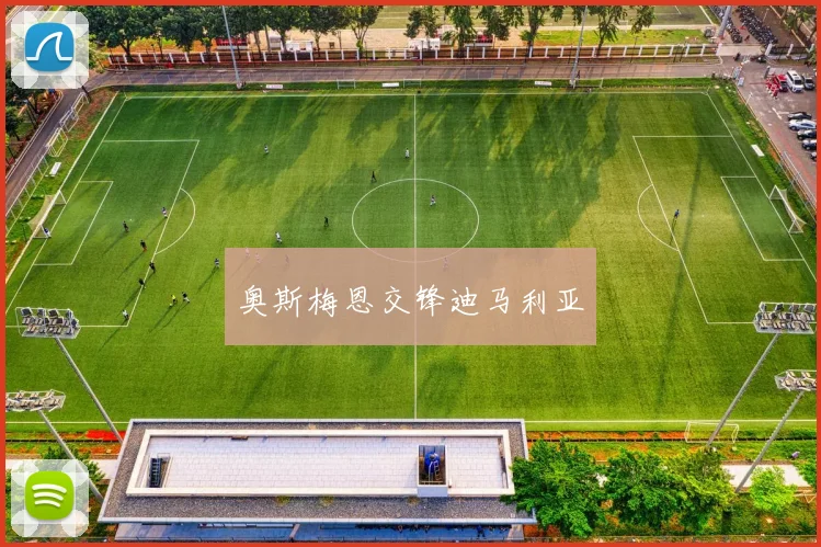 奥斯梅恩交锋迪马利亚