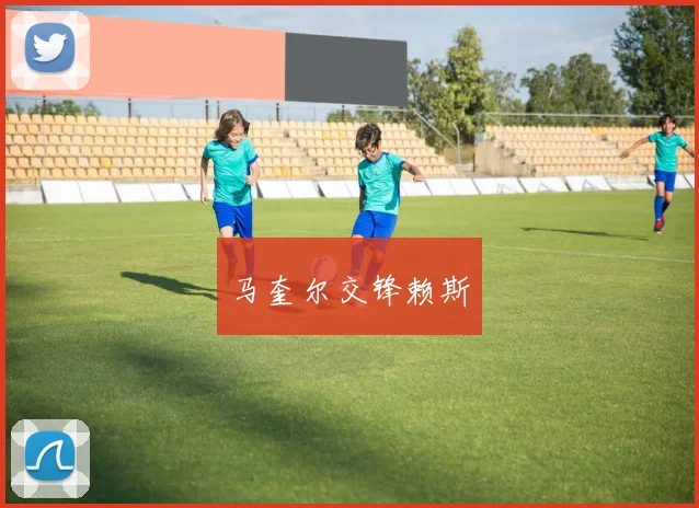 马奎尔交锋赖斯