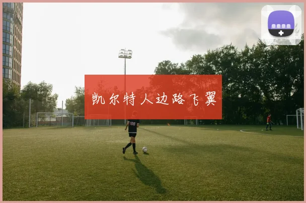 凯尔特人边路飞翼