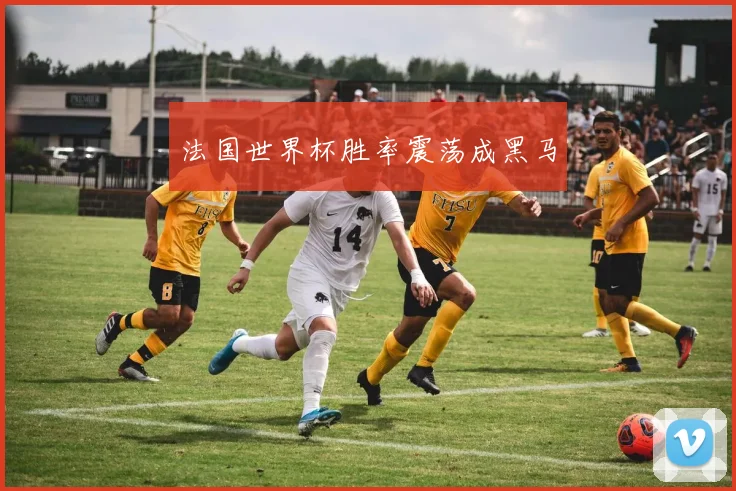 法国世界杯胜率震荡成黑马