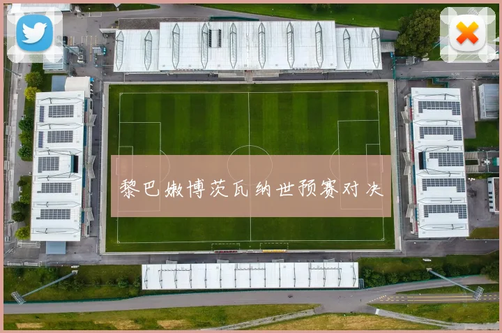 黎巴嫩博茨瓦纳世预赛对决