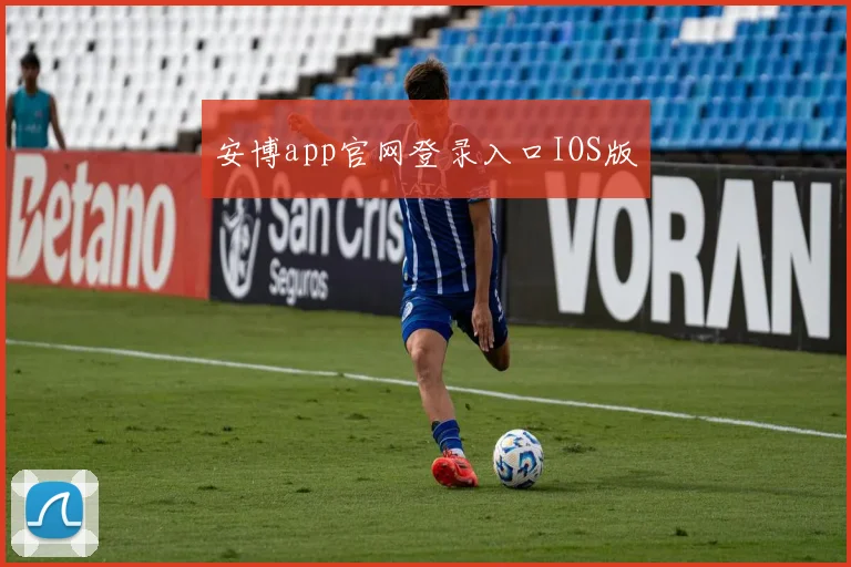 安博app官网登录入口IOS版
