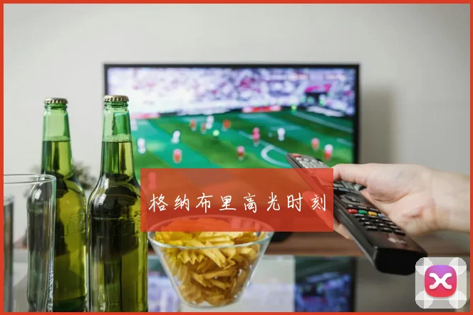 格纳布里高光时刻