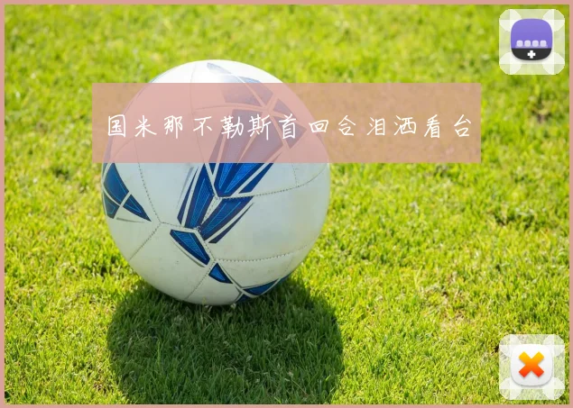 国米那不勒斯首回合泪洒看台