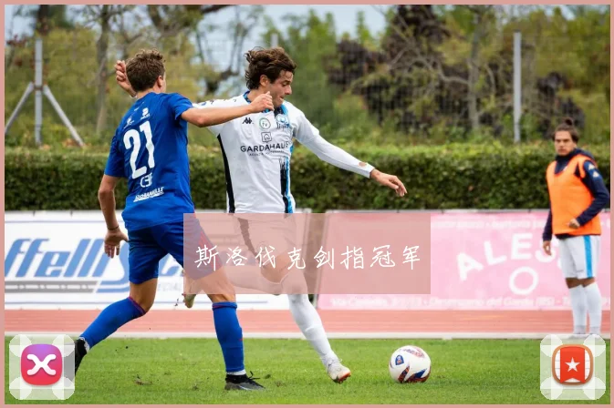 斯洛伐克剑指冠军