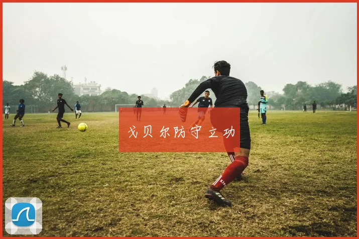 戈贝尔防守立功