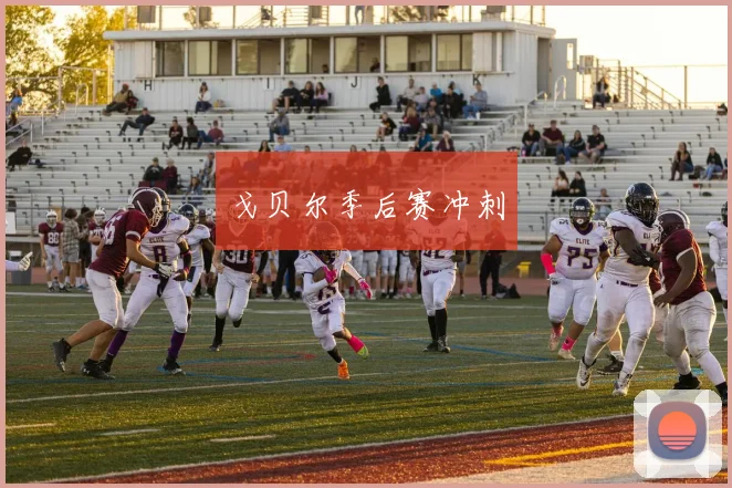 戈贝尔季后赛冲刺