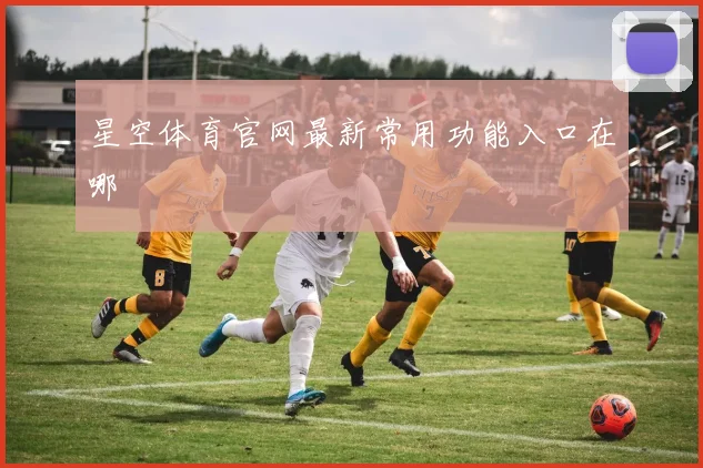 星空体育官网最新常用功能入口在哪