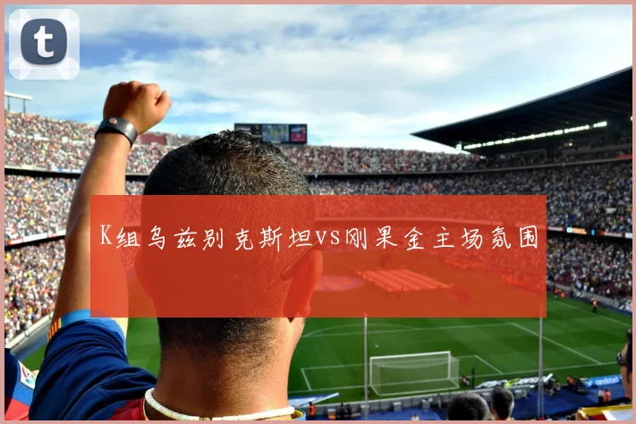 K组乌兹别克斯坦vs刚果金主场氛围
