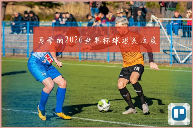 马蒂纳2026世界杯球迷关注度